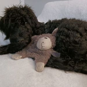 Meet your Posher, Cheryl